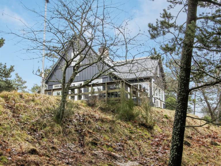 Ferienhaus  Vejers Strand