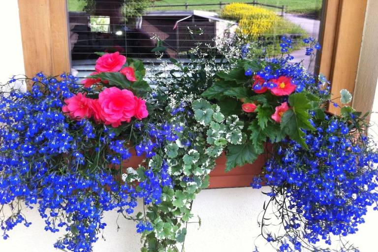 Vacation home with barbeque & garden | Pets allowed — photo 3