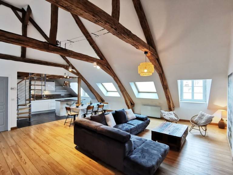 Appartement Olivet