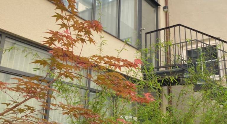 Holiday apartment with yard | Near Karlstor | Suitable for remote work | Dogs allowed — photo 4