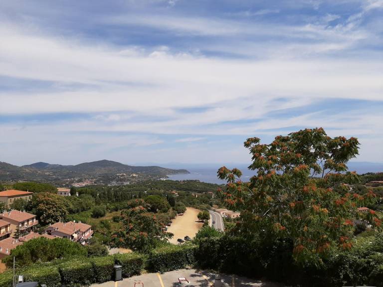 Holiday apartment with 1 room for 4 persons in Capoliveri