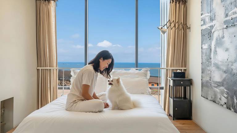 Yeongheungdo BoutiquePasseComposePension in Incheon