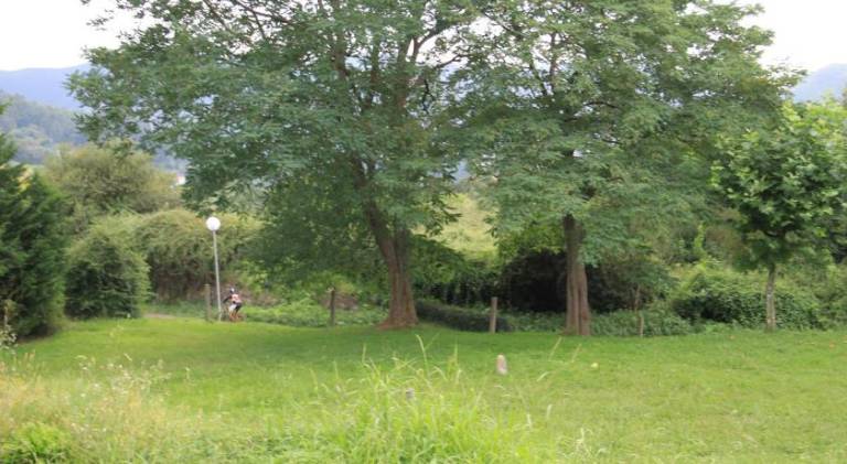 foto19