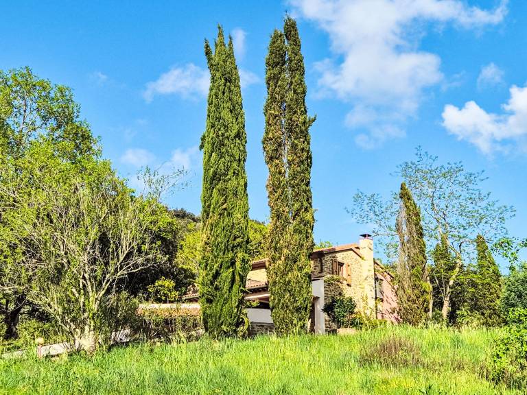 Lovely vacation home with terrace & garden | Nature view | Pets are welcome — photo 2