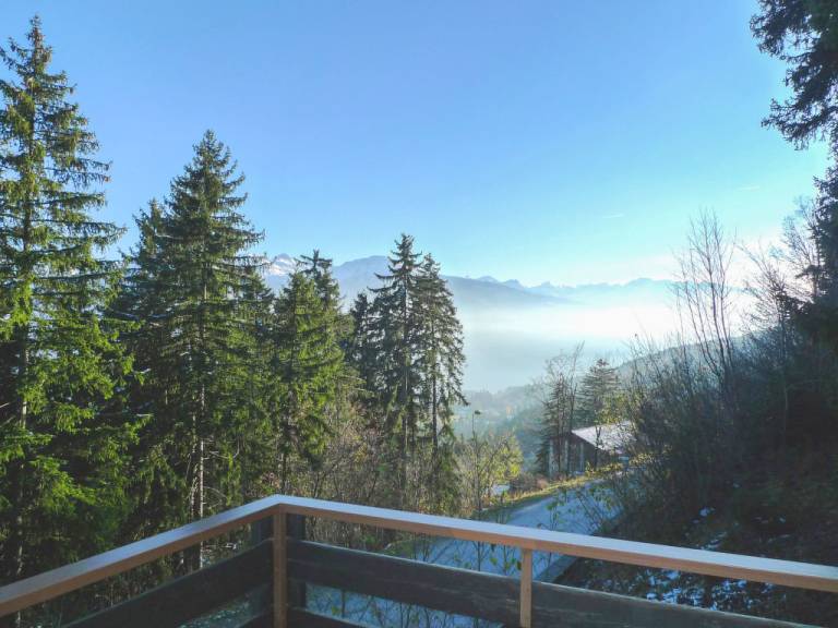 foto15