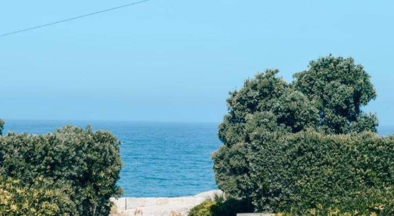 Fully equipped beautiful vacation home with garden, patio & barbecue | Next to the beach | Dogs allowed in Braga