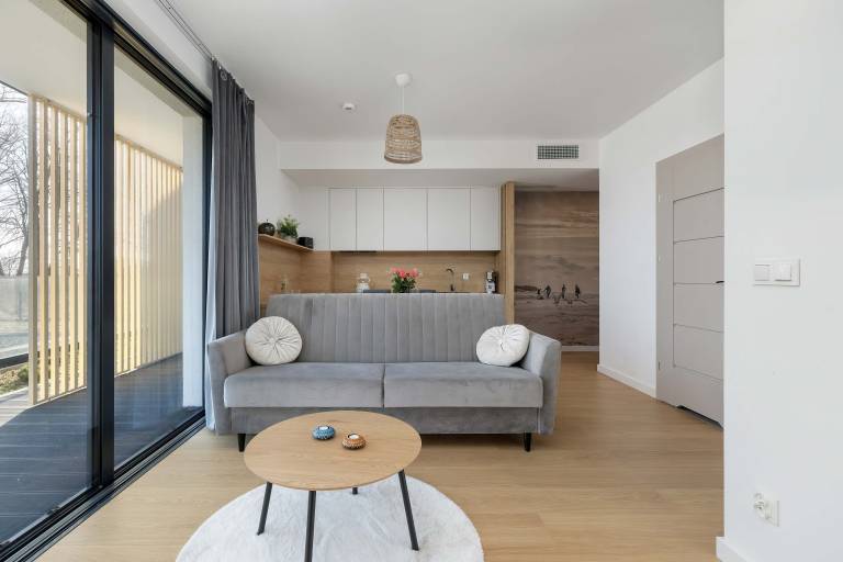 Art Lake 0 4 Mielno Elegant Apartment A C Pool — photo 4
