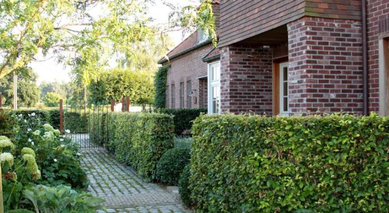 B&B Het Welthof in Hasselt