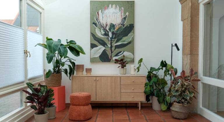 Holiday apartment | Dogs allowed in Neustadt an der Weinstrasse
