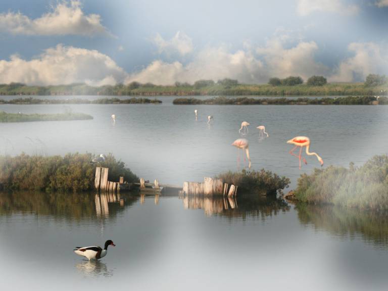 Ferienhaus Lido di Volano
