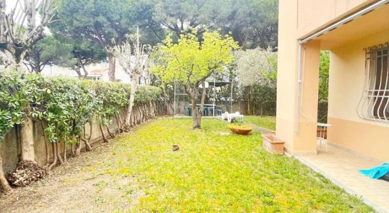 House with 3 rooms for 5 persons in Cecina
