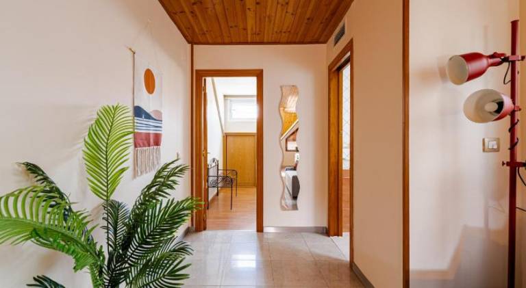 Holiday apartment | Pets are welcome — photo 4