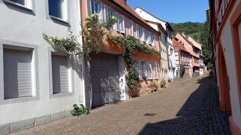 Ferienwohnung  Neustadt an der Weinstraße