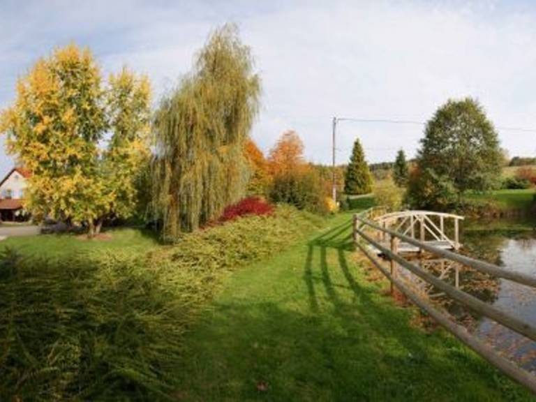 foto17
