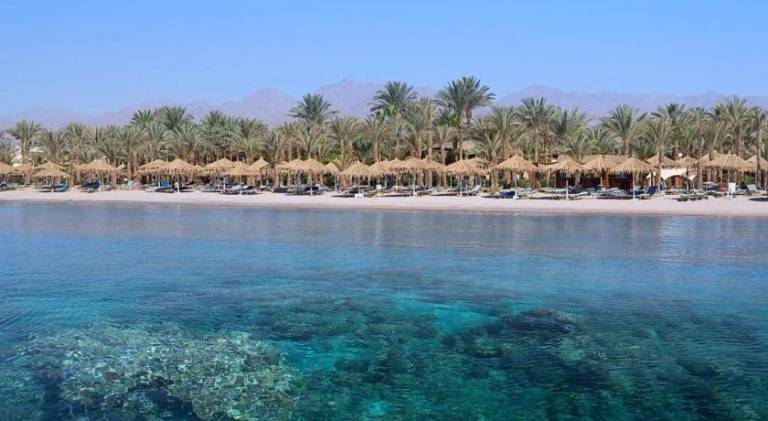 Jaz Sharm Dream Vacation Club Time Share - Reservation only on Saturdays - Min stay 7 Days in Sharm El Sheikh