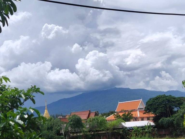foto1