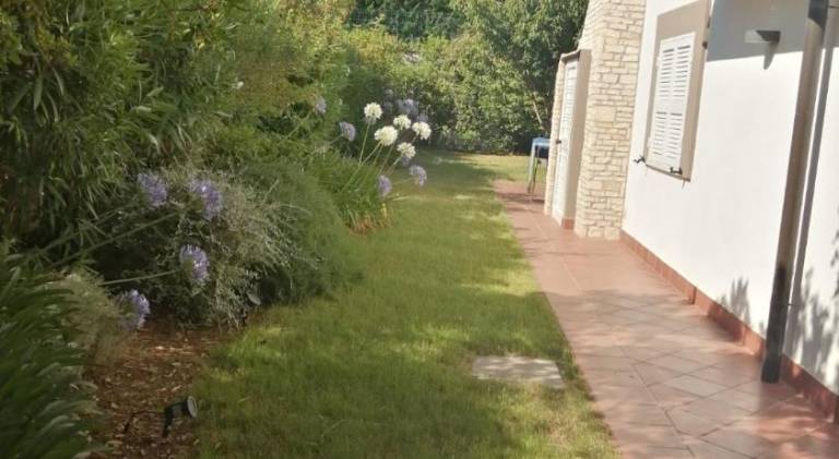 B&B dei Girasoli — photo 5