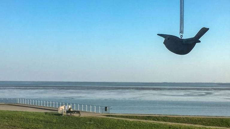 Ferienwohnung  Wilhelmshaven