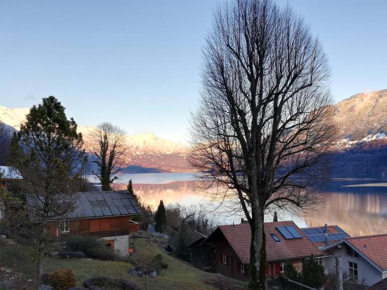 foto7
