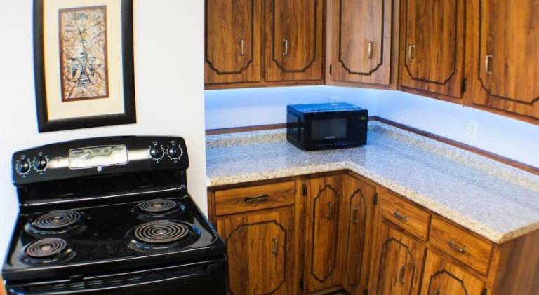 Newly Renovated 2-Bed near Downtown-North Shore — photo 5