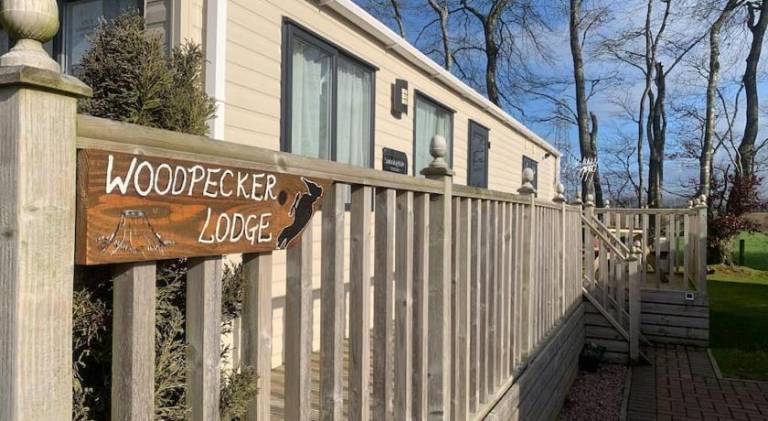 Ample house | Pet-friendly — photo 5