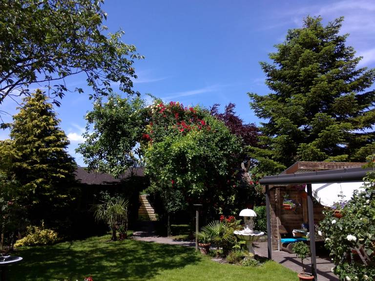 foto18