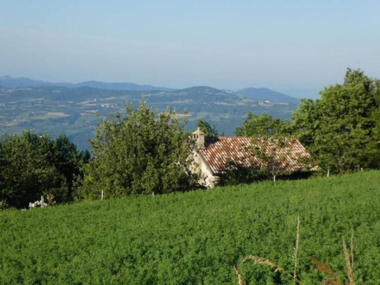 foto16
