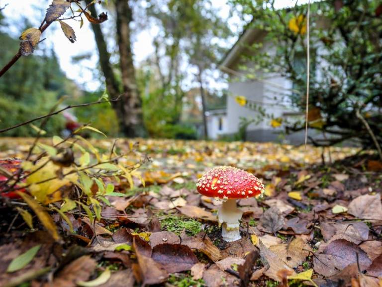 foto28