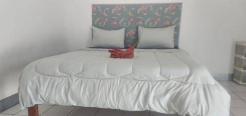 foto15