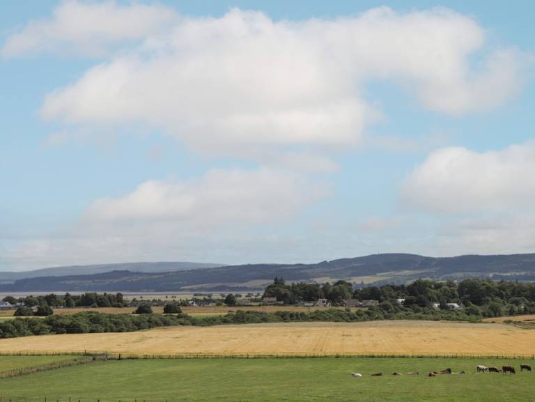 Cottage Beauly