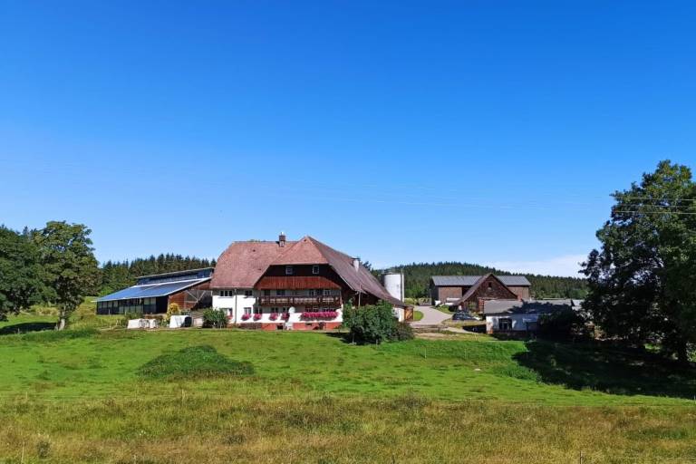 Zuckerbauernhof Weideblick