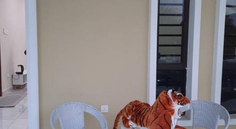 foto8