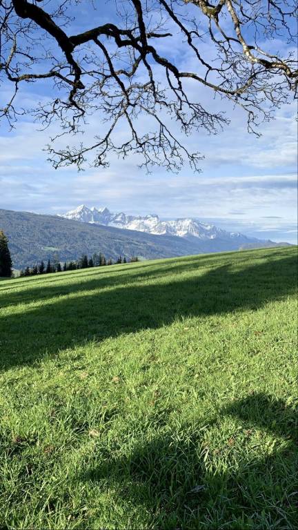 foto23