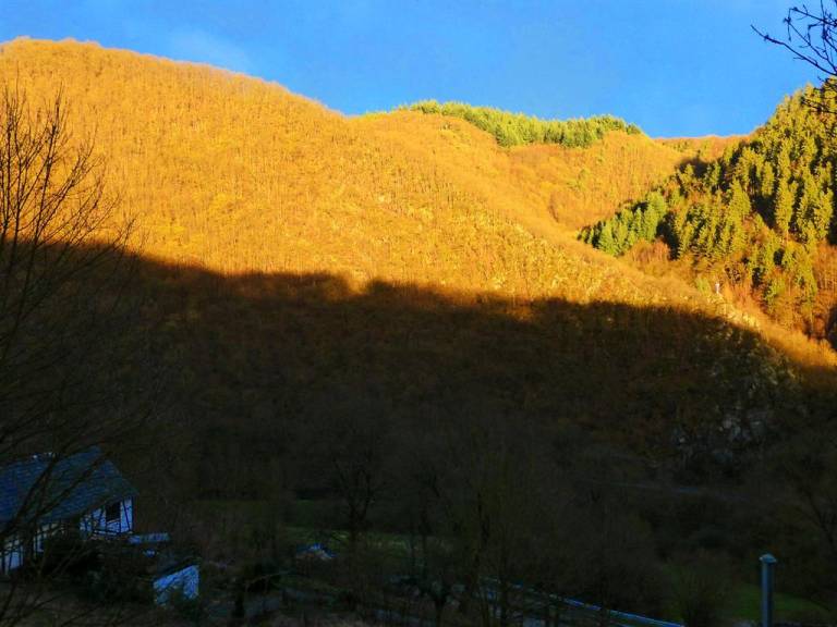 foto16