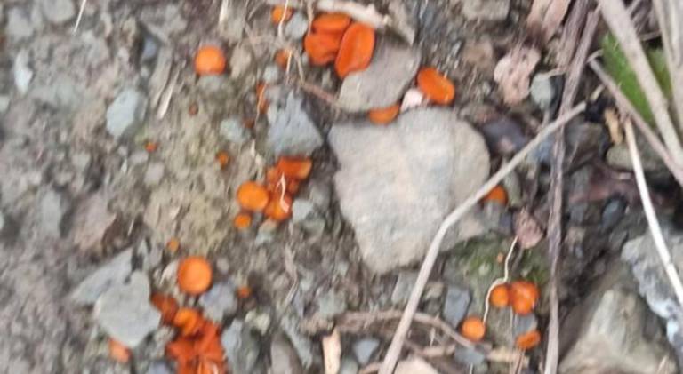 foto47