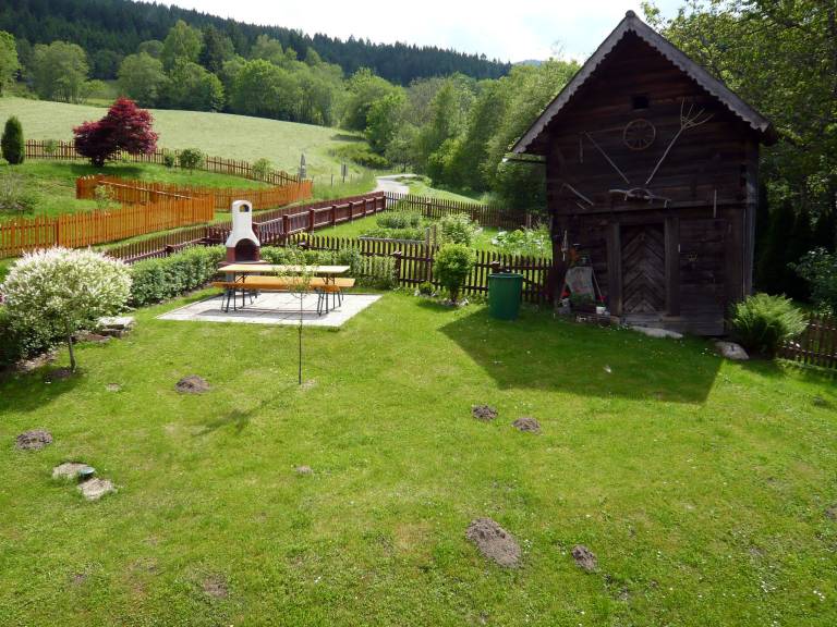 foto1