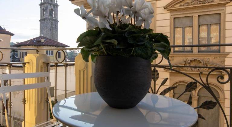 Nice holiday apartment | Pets are welcome — photo 5