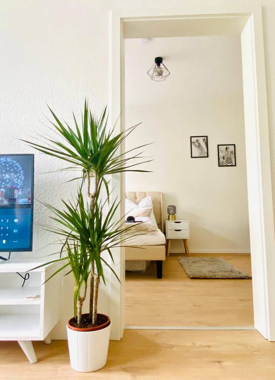 Moderne Wohnung mit zentrumsnaher Lage — photo 5
