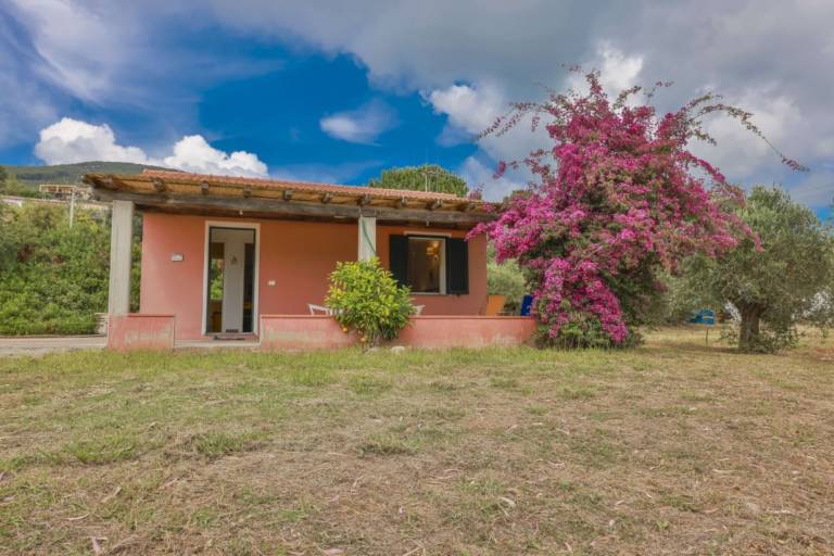 Villa with garden & BBQ — photo 2