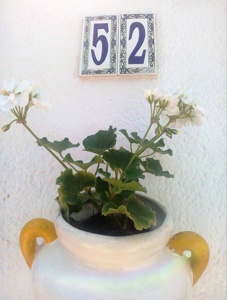 Appartement Mahdia