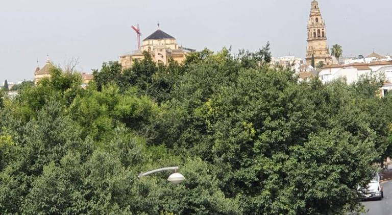 Vacation home | Near Mosque–Cathedral of Córdoba in Córdoba