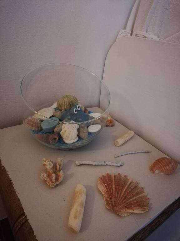 foto6