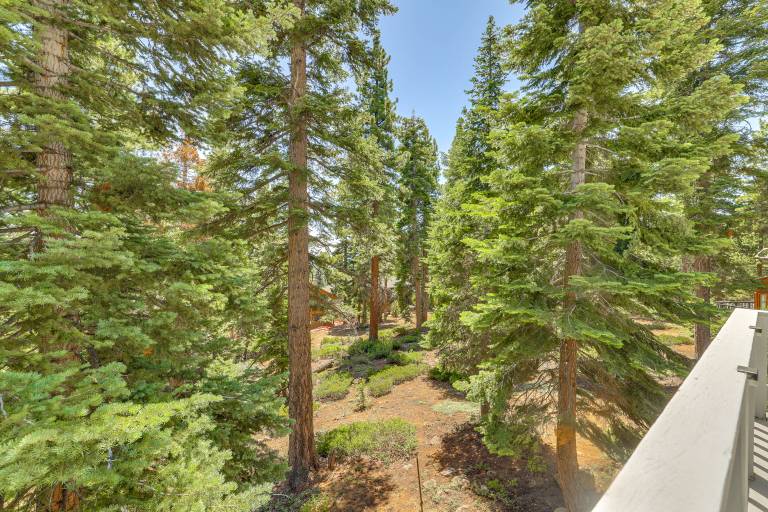 3 Mi to Lake Tahoe: Forest-View Sanctuary w/ Deck! — photo 5