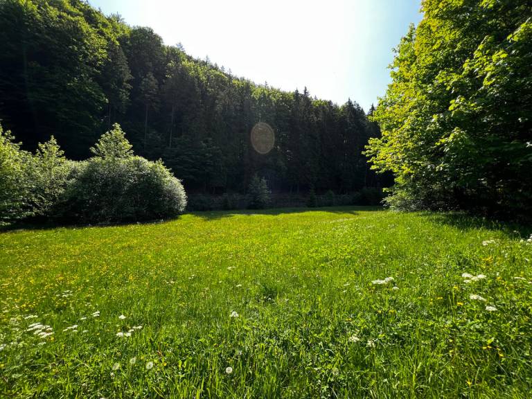 foto13
