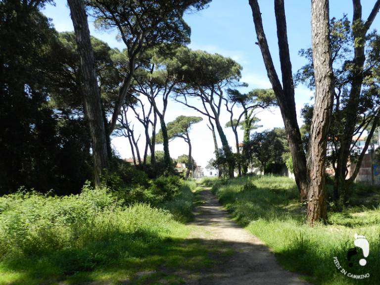 foto14