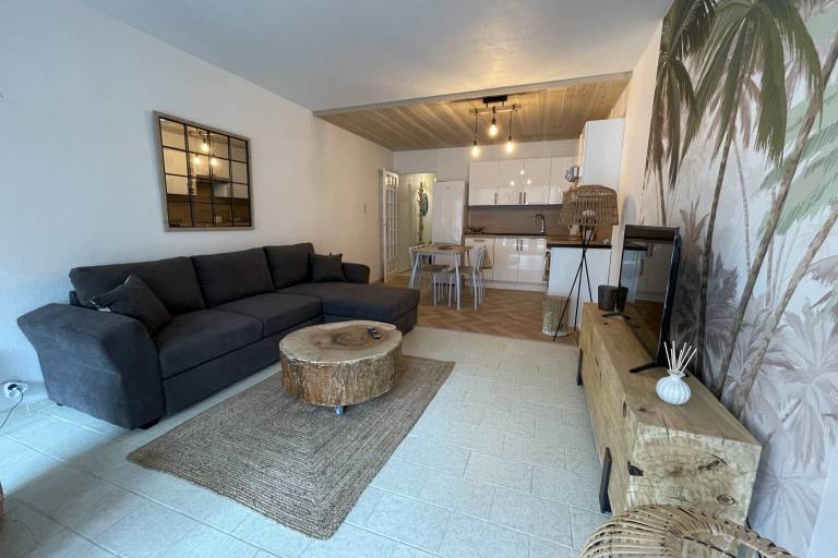 Apartment with terrace — photo 4