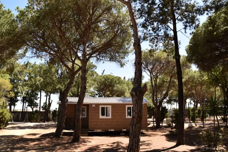 Caravan Conil de la Frontera