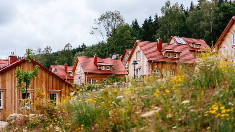 Ferienhaus Schierke