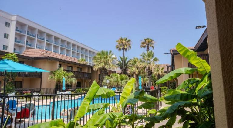 Lovely holiday apartment with pool | Next to the beach | Pets are welcome — photo 5