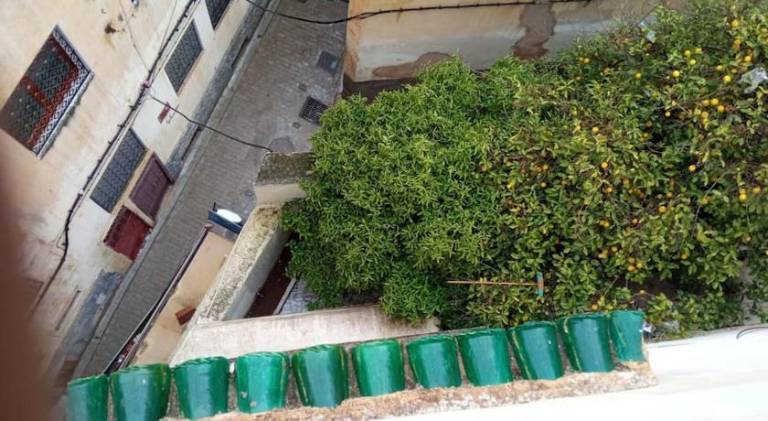 Apartment | Near Bou Inania Madrasa | Pets are welcome — photo 5